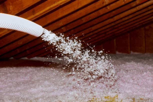 Best Insulation Inspection Services  in Ravenna, NE