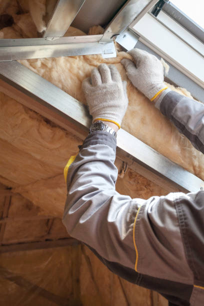 Best Spray Foam Insulation  in Ravenna, NE