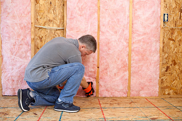 Best Insulation Replacement Services  in Ravenna, NE