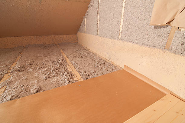 Best Home Insulation Services  in Ravenna, NE