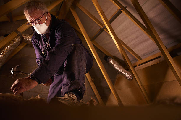 Best Local Insulation Services  in Ravenna, NE